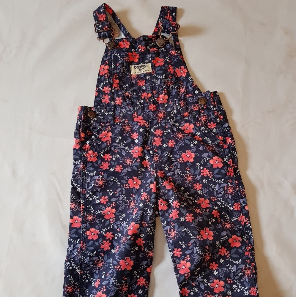 Oshkosh B'gosh Cute Overalls 18M